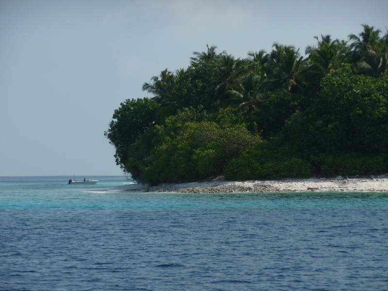 maldives_2011_025.jpg
